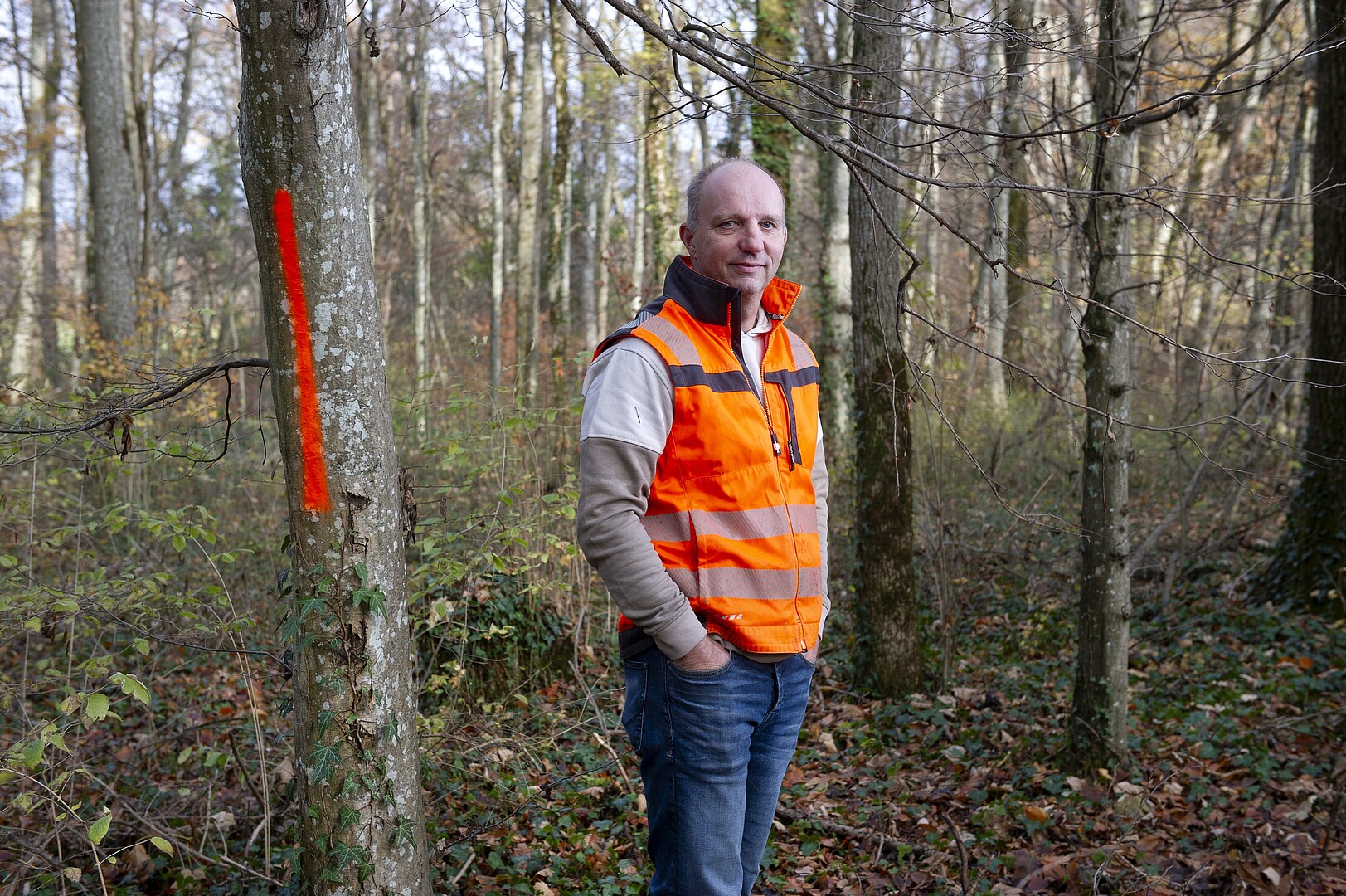 Amaury Annen : garde-forestier